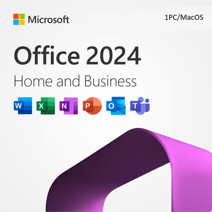 MS Office 2024 Home & Business for Windows & MAC